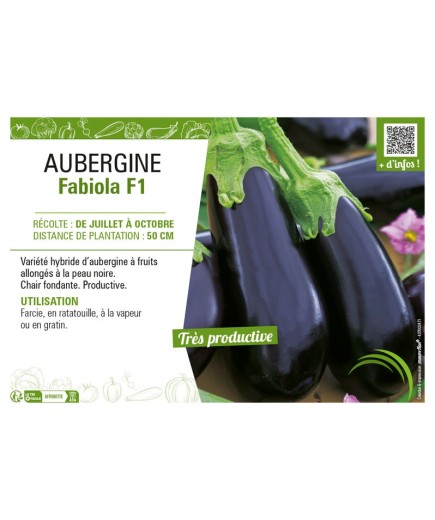 AUBERGINE FABIOLA F1