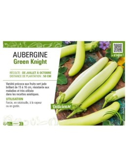 AUBERGINE GREEN KNIGHT