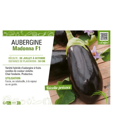 AUBERGINE MADONNA F1