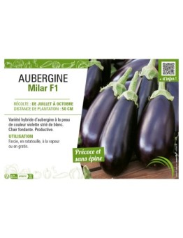 AUBERGINE MILAR F1