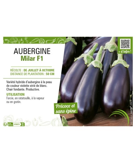 AUBERGINE MILAR F1