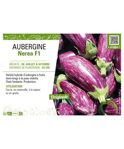 AUBERGINE NEREA F1