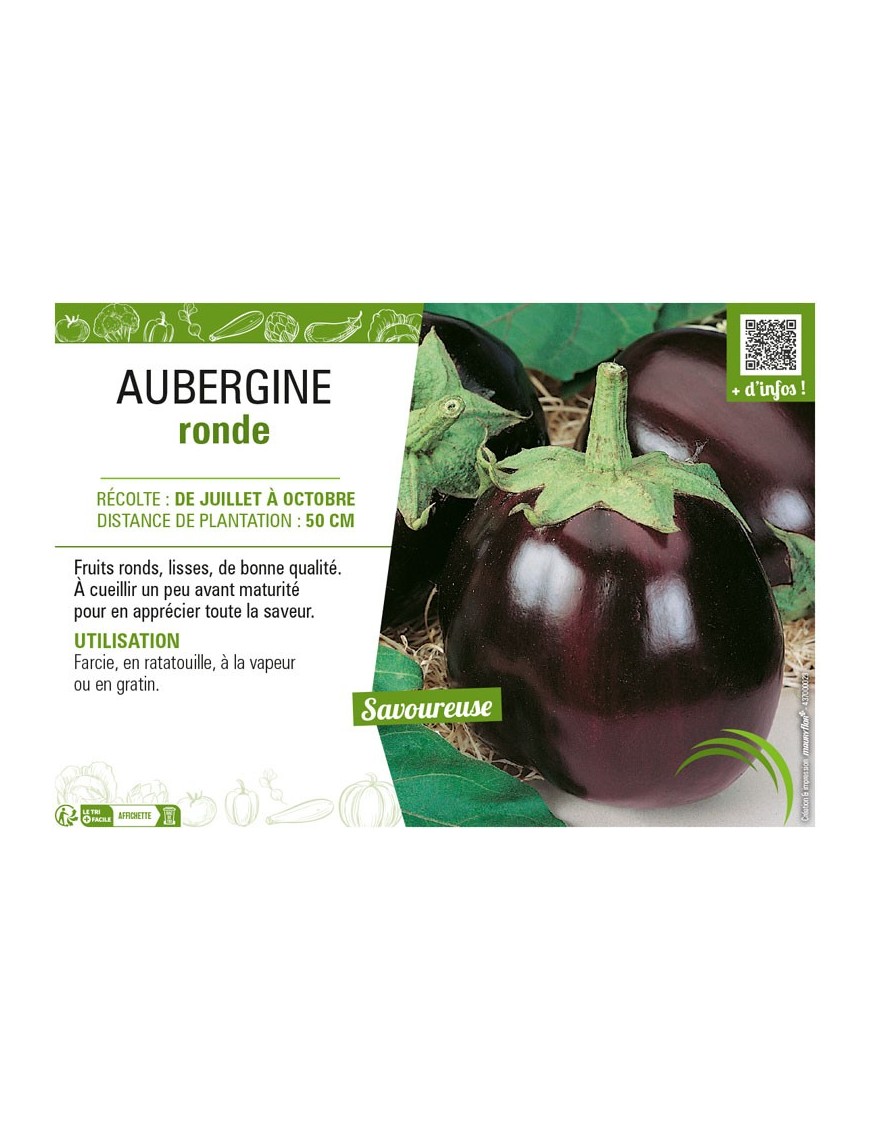 AUBERGINE RONDE