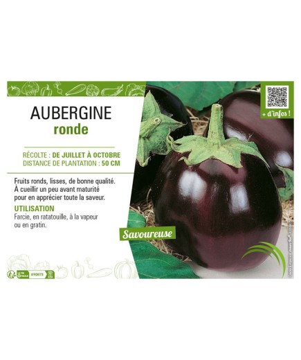 AUBERGINE RONDE
