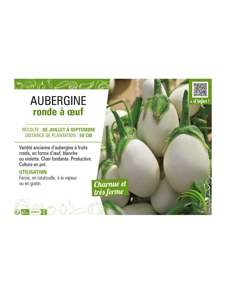 AUBERGINE RONDE À ŒUF