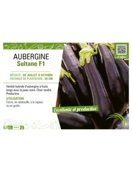 AUBERGINE SULTANE F1