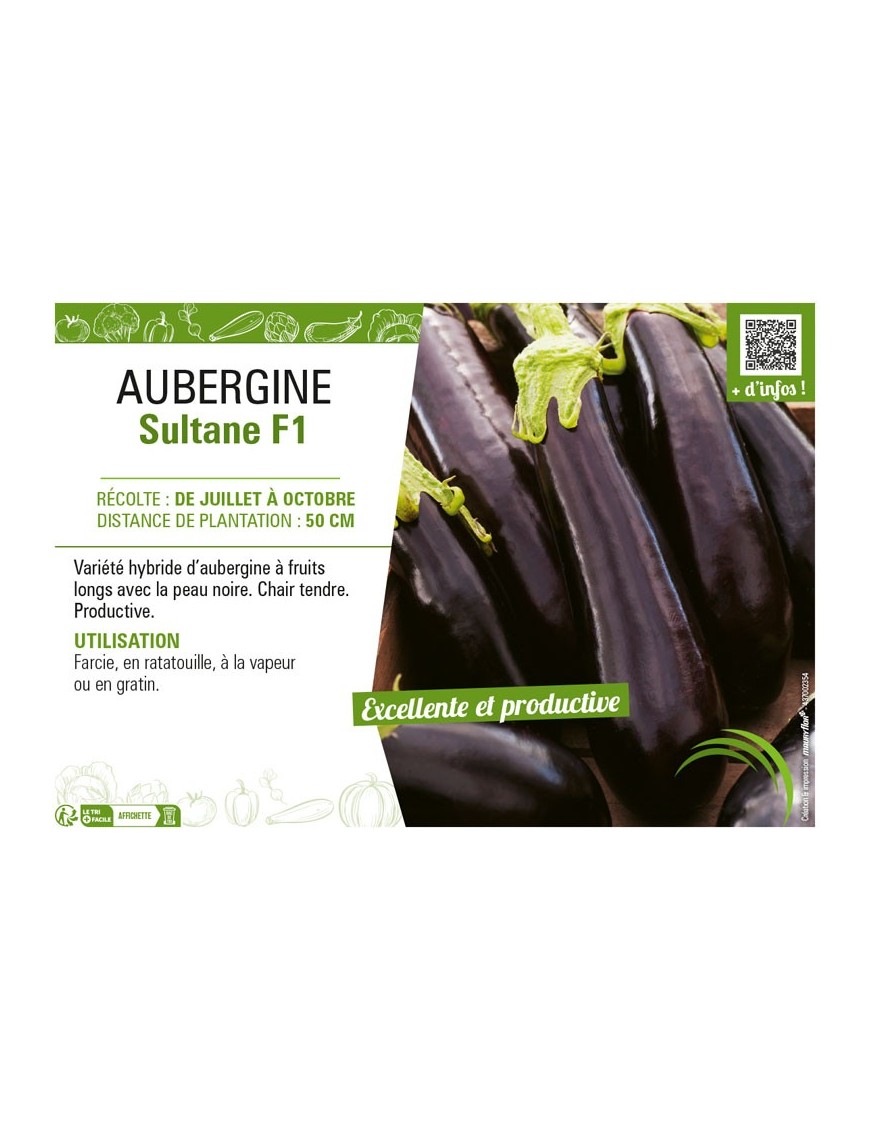 AUBERGINE SULTANE F1