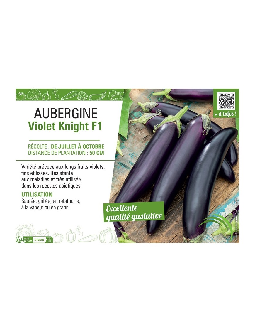 AUBERGINE VIOLET KNIGHT F1