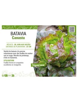 BATAVIA CANASTA