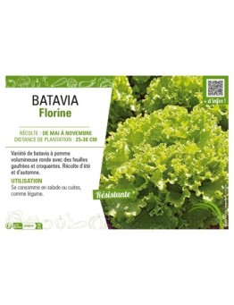 BATAVIA FLORINE