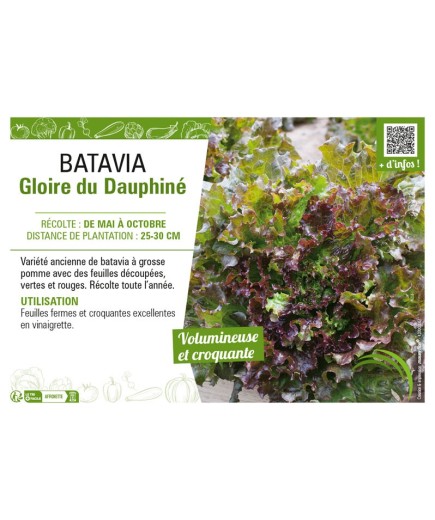 BATAVIA GLOIRE DU DAUPHINÉ