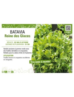 BATAVIA REINE DES GLACES