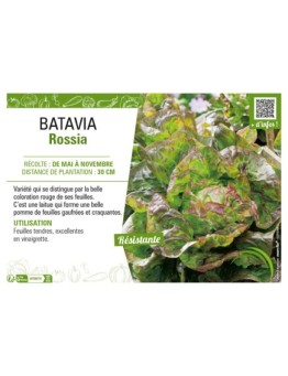 BATAVIA ROSSIA