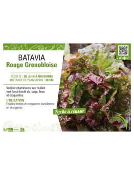 BATAVIA ROUGE GRENOBLOISE
