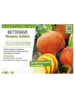 BETTERAVE BURPEES GOLDEN