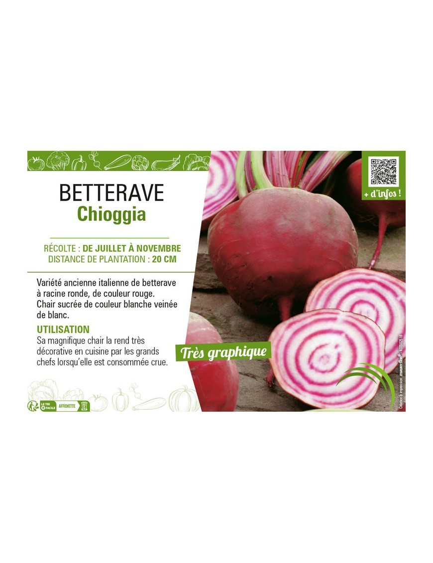 BETTERAVE CHIOGGIA