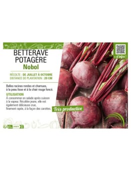 BETTERAVE POTAGÈRE NOBOL