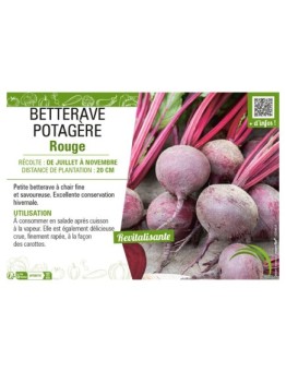 BETTERAVE POTAGÈRE ROUGE