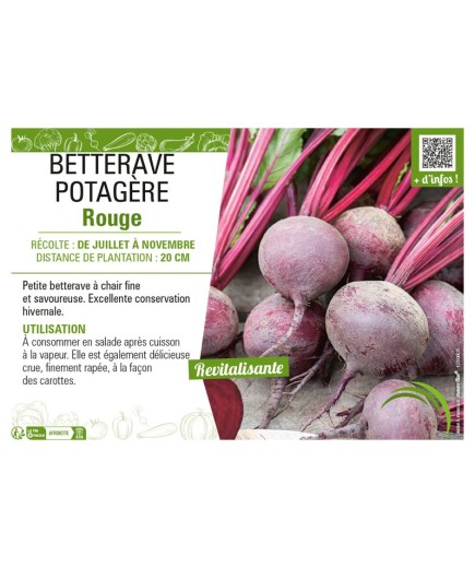 BETTERAVE POTAGÈRE ROUGE