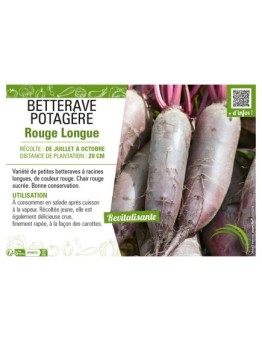 BETTERAVE POTAGÈRE ROUGE LONGUE