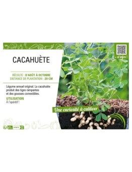 CACAHUÈTE