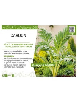 CARDON