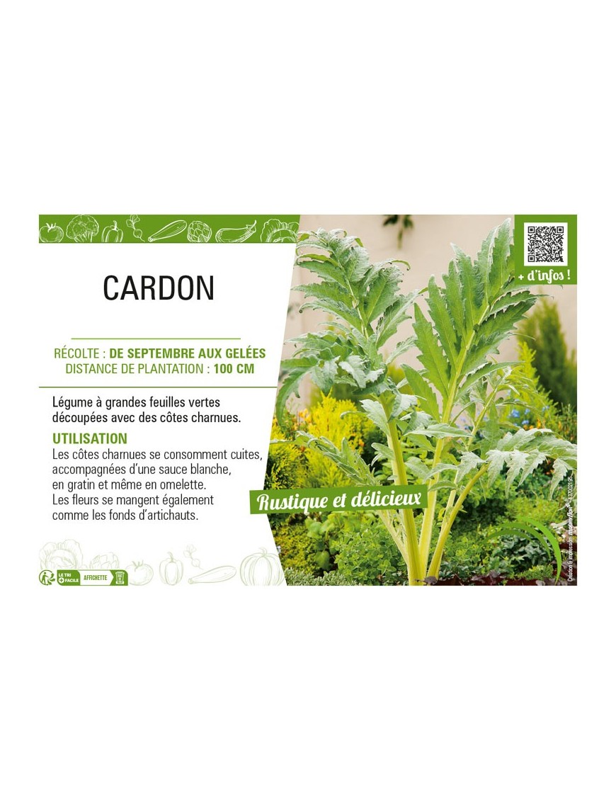 CARDON