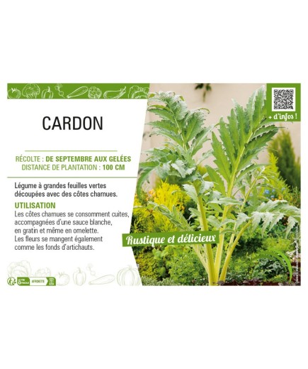 CARDON