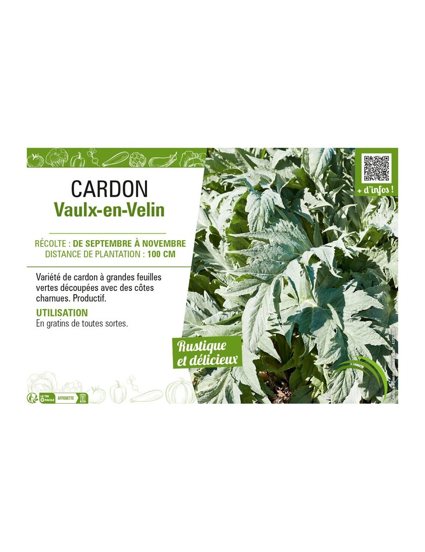 CARDON VAULX-EN-VELIN