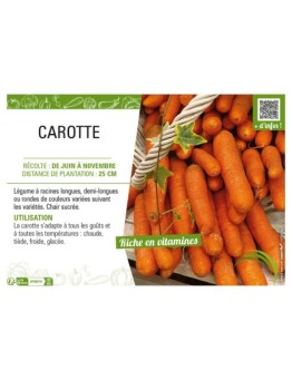 CAROTTE