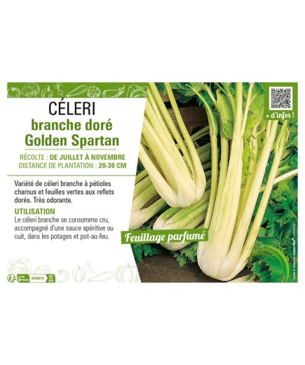 CÉLERI BRANCHE DORÉ GOLDEN SPARTAN