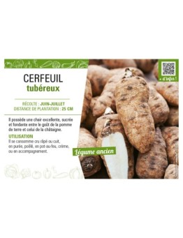 CERFEUIL TUBÉREUX