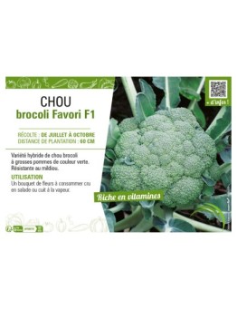 CHOU BROCOLI FAVORI F1