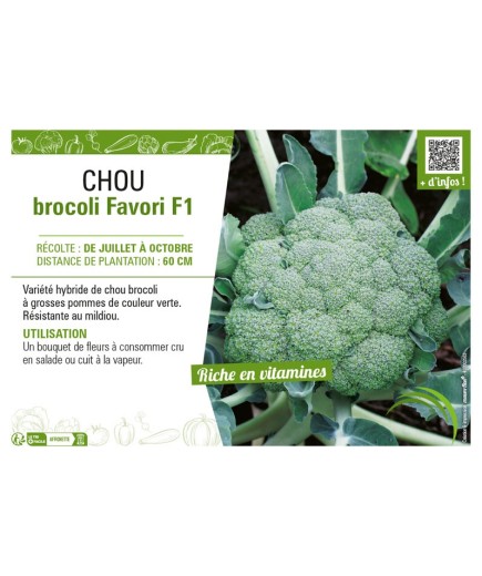 CHOU BROCOLI FAVORI F1