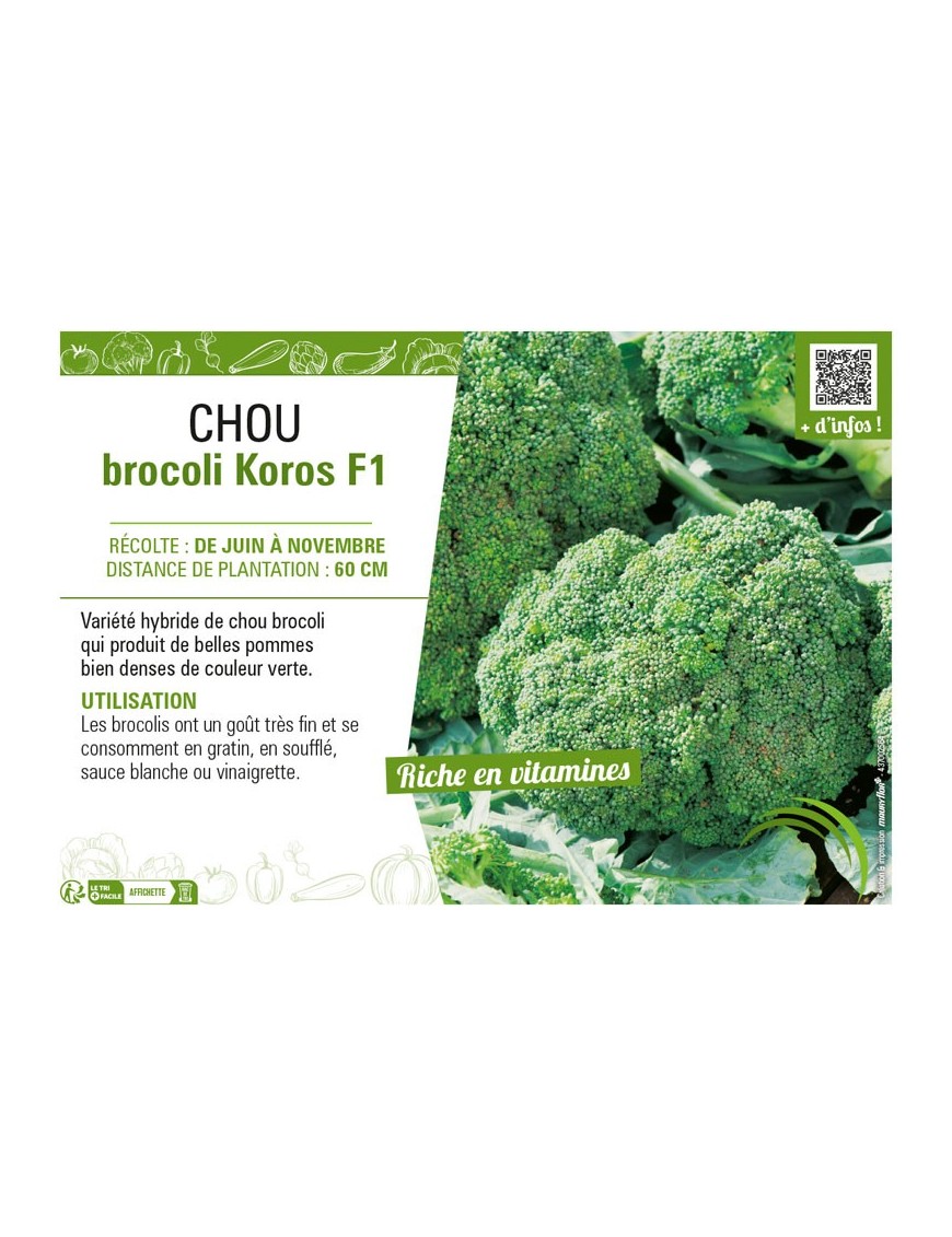 CHOU BROCOLI KOROS F1