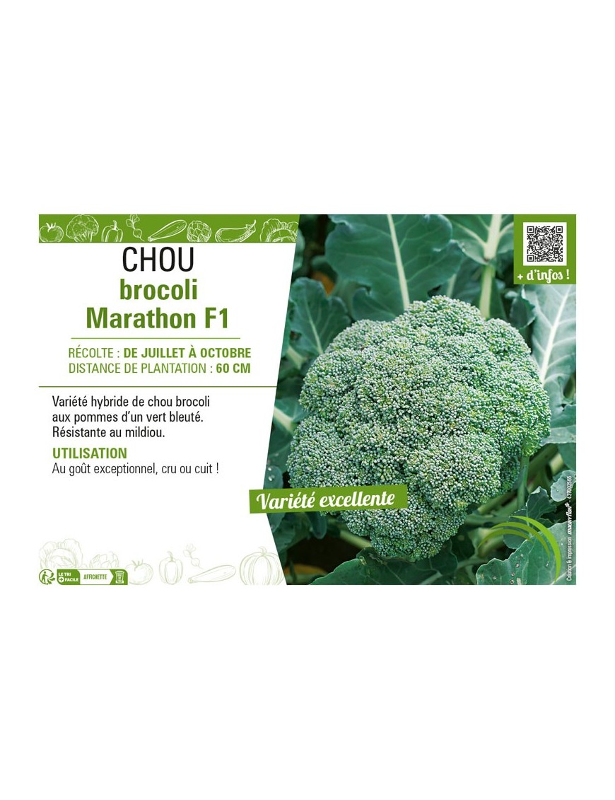 CHOU BROCOLI MARATHON F1