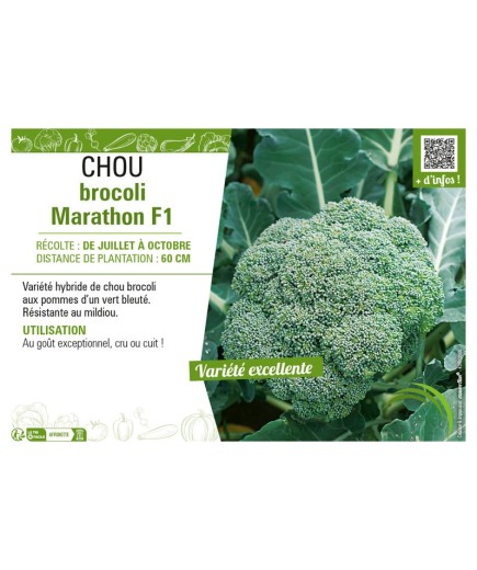 CHOU BROCOLI MARATHON F1
