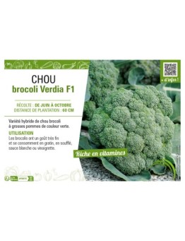 CHOU BROCOLI VERDIA F1