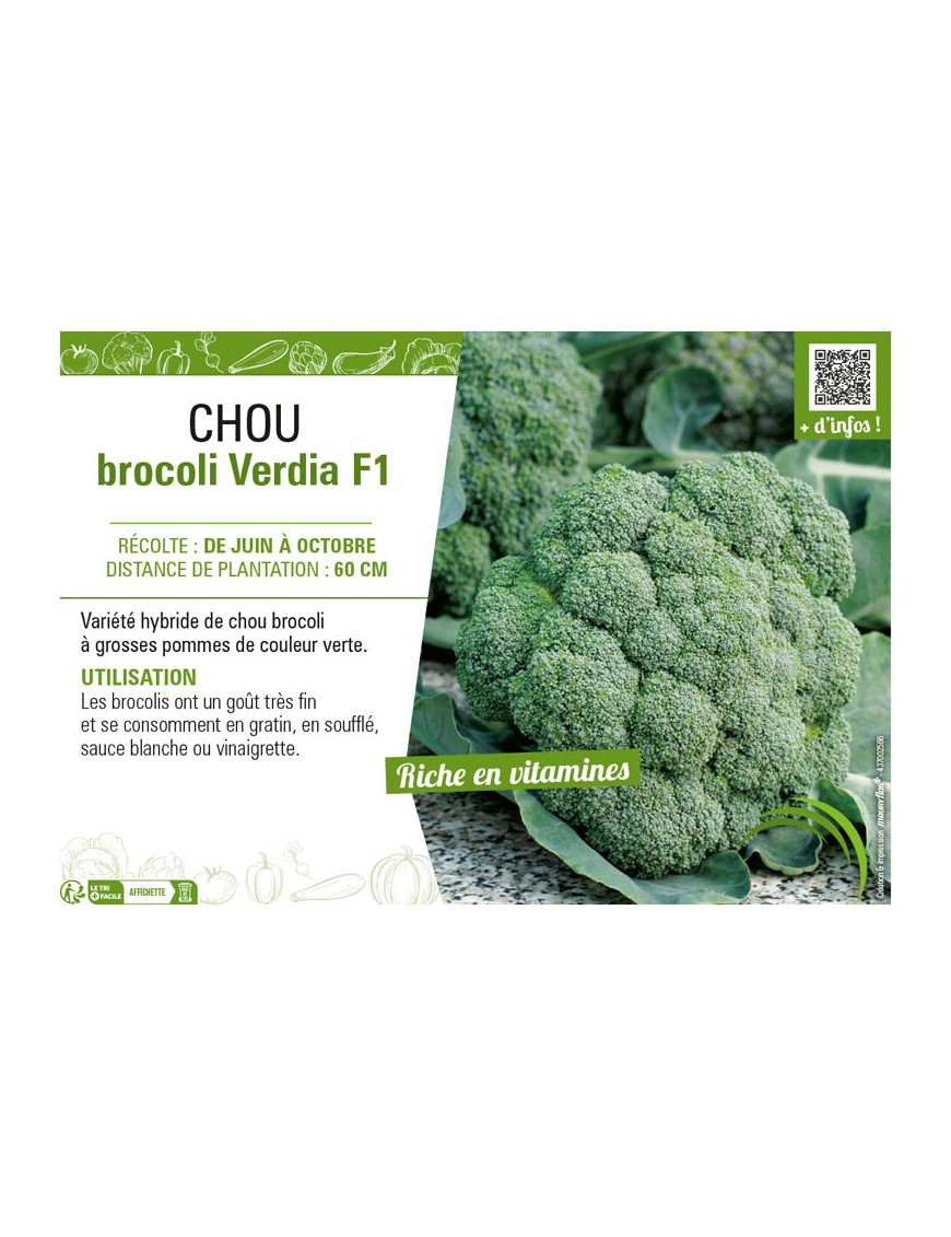 CHOU BROCOLI VERDIA F1