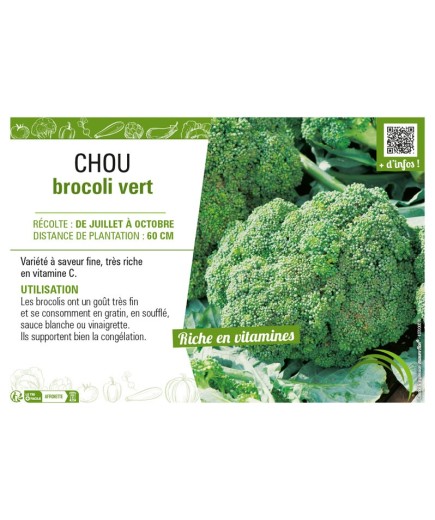 CHOU BROCOLI VERT
