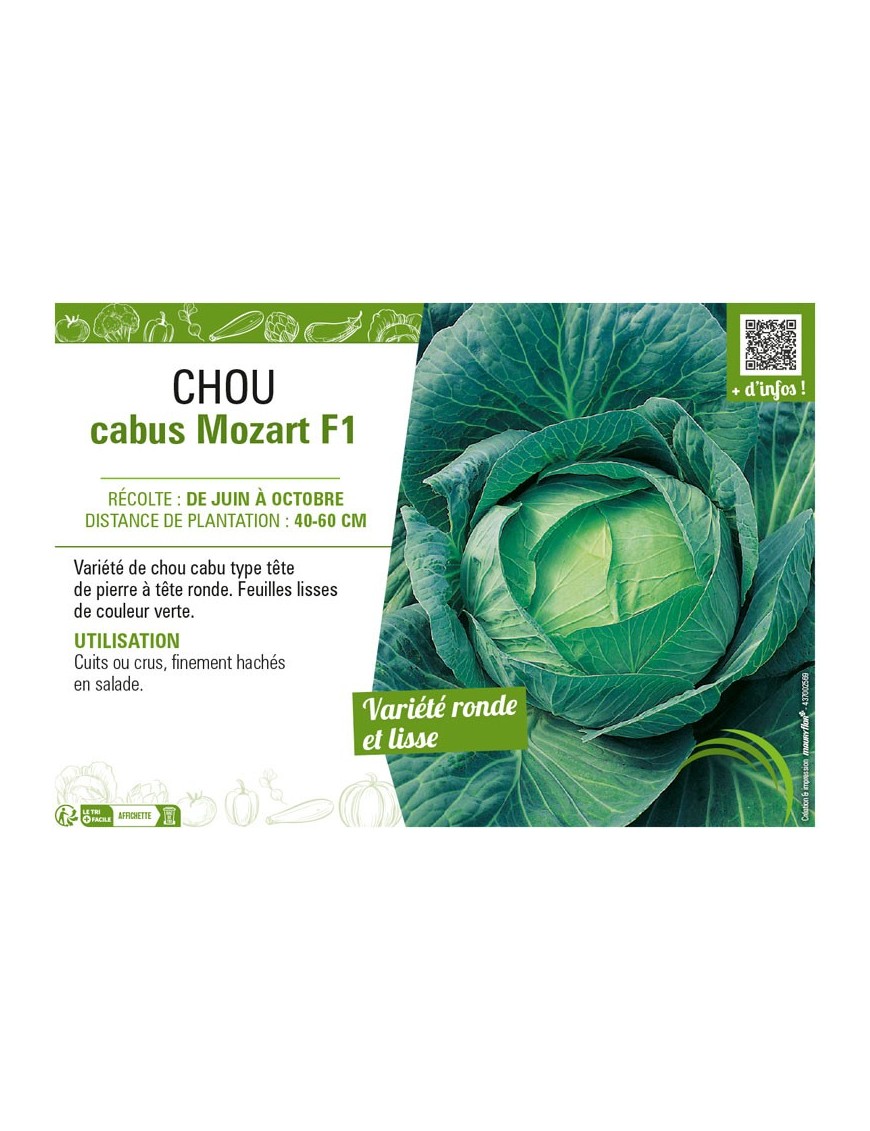 CHOU CABUS MOZART F1