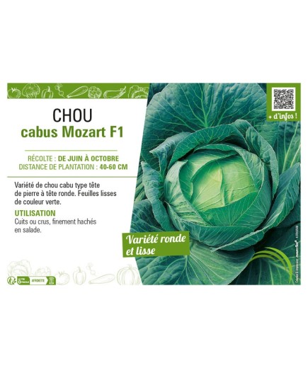 CHOU CABUS MOZART F1