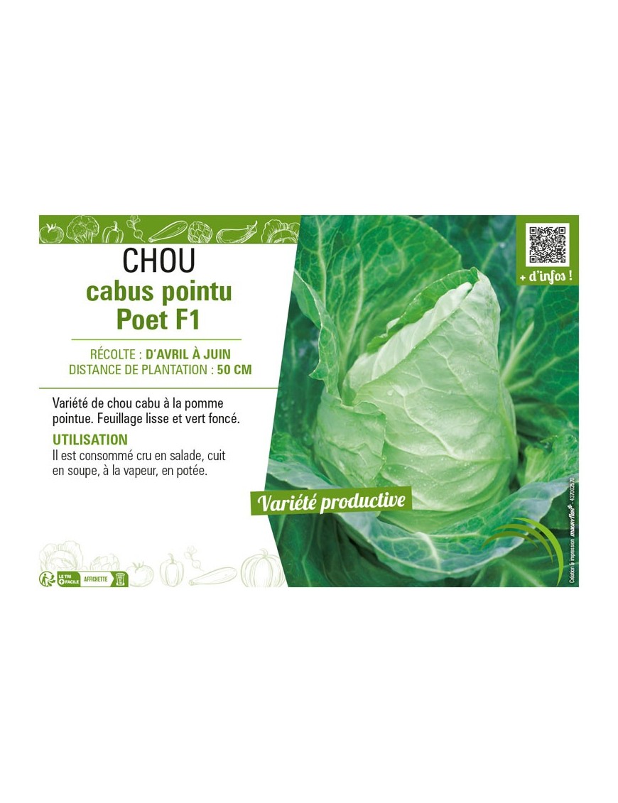 CHOU CABUS POINTU POET F1