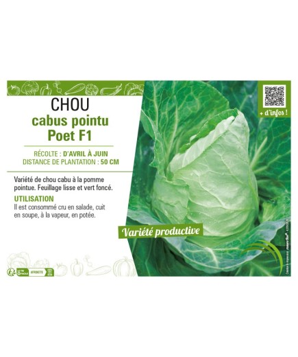 CHOU CABUS POINTU POET F1