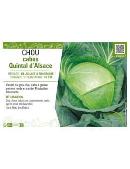 CHOU CABUS QUINTAL D'ALSACE