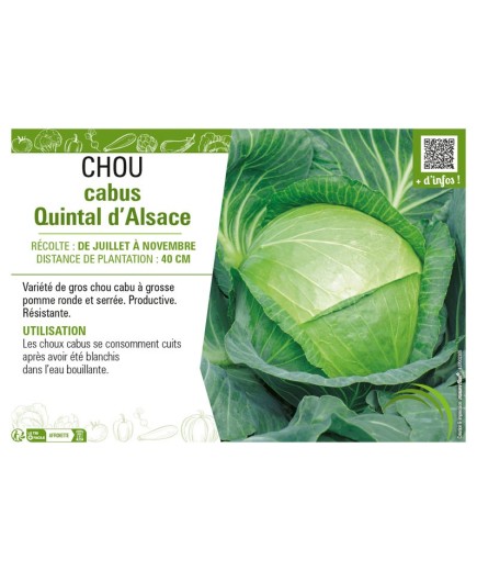 CHOU CABUS QUINTAL D'ALSACE