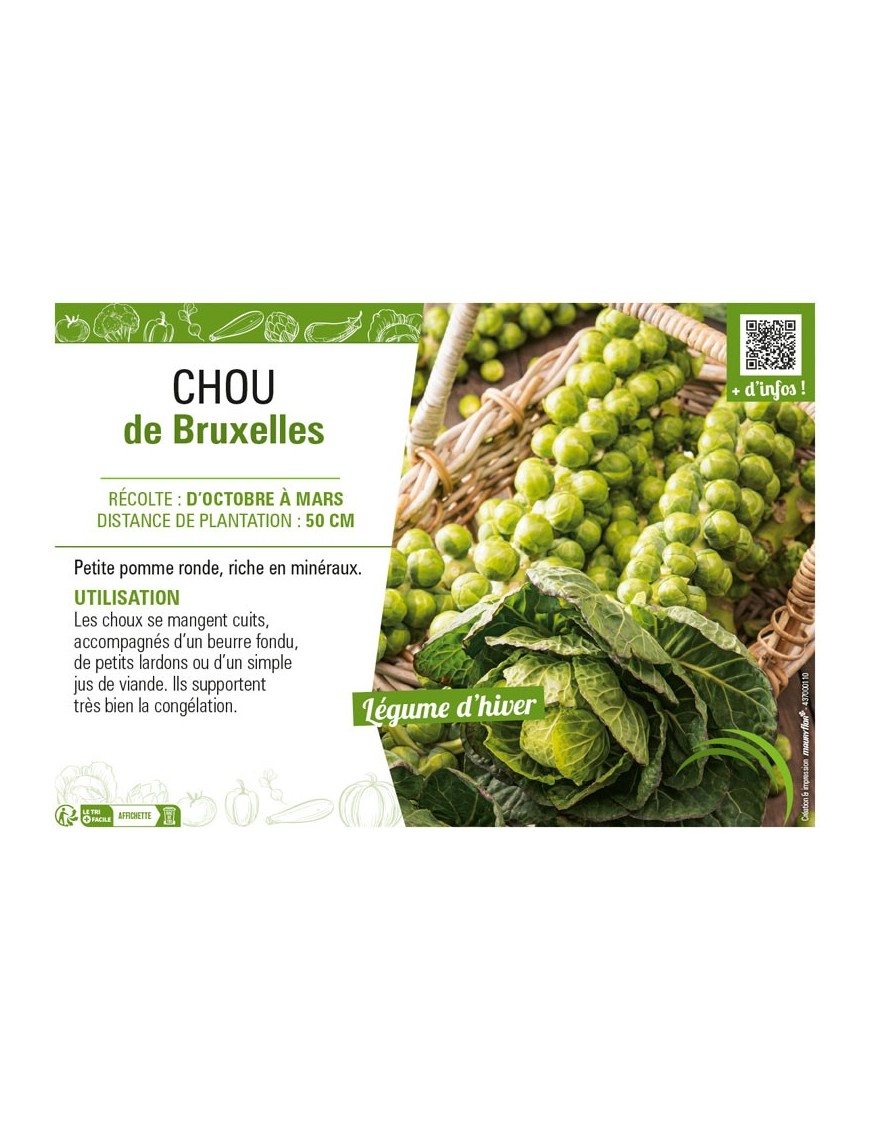 CHOU DE BRUXELLES