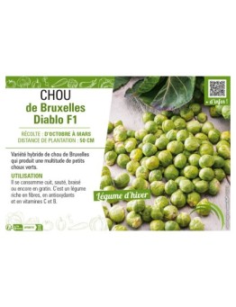 CHOU DE BRUXELLES DIABLO F1