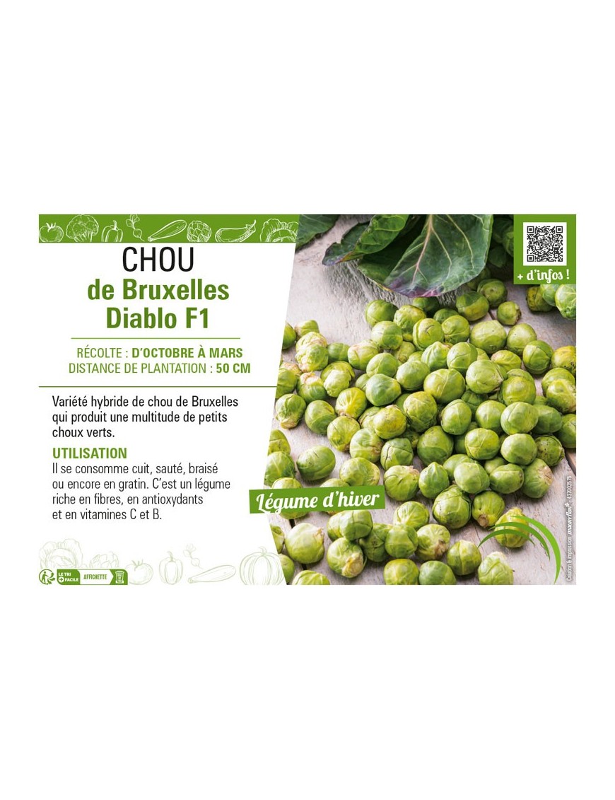 CHOU DE BRUXELLES DIABLO F1