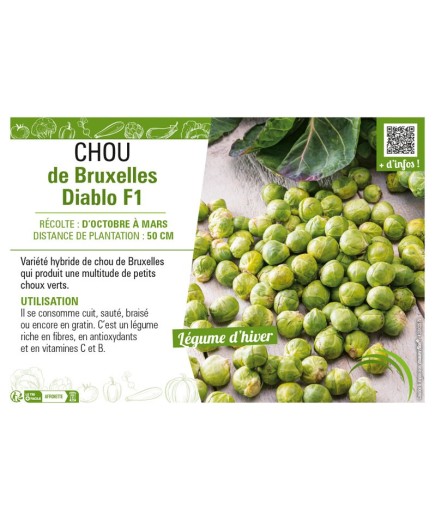 CHOU DE BRUXELLES DIABLO F1